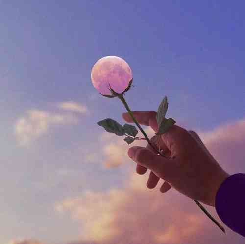 هادی زنگنه برگرد